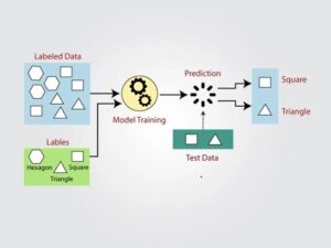 یادگیری با ناظر(Supervised Learning) چیست؟