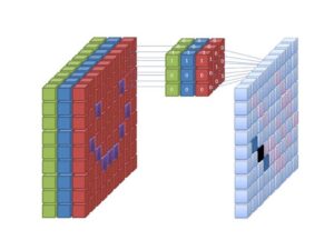 شبکه عصبی (Neural Network) چیست؟